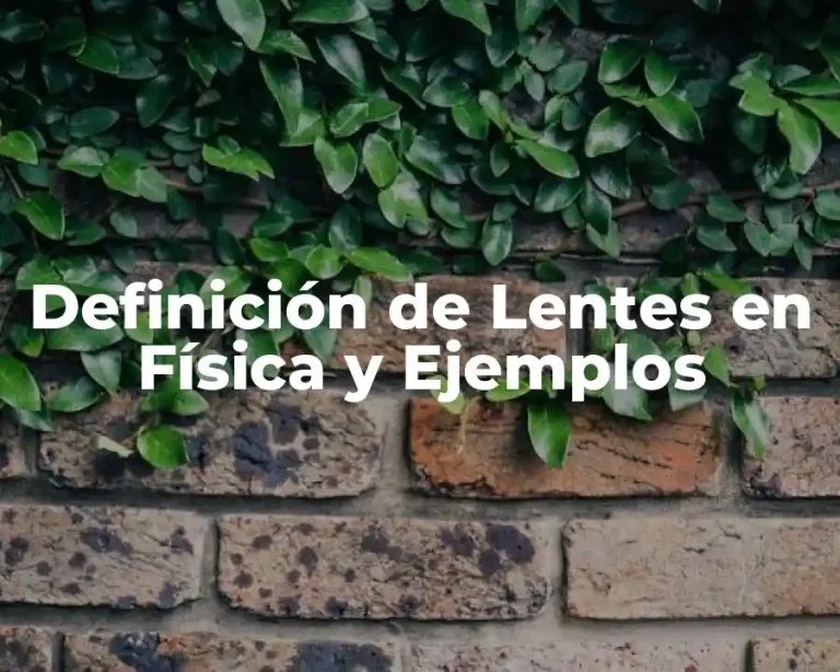 Definición de Lentes en Física y Ejemplos