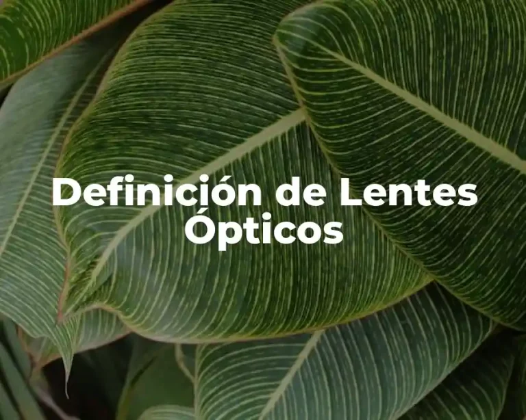 Definición de Lentes Ópticos