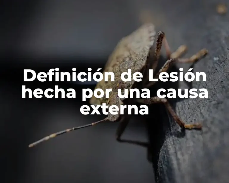 Definición de Lesión hecha por una causa externa