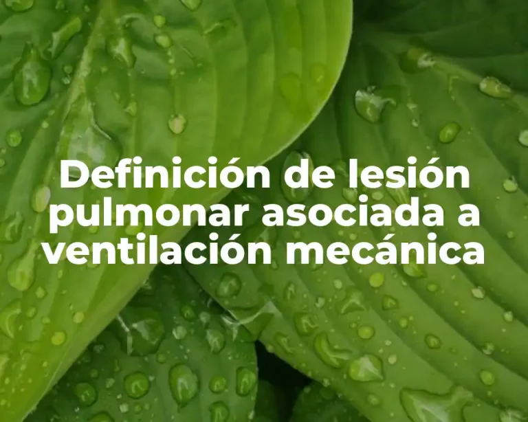 Definición de lesión pulmonar asociada a ventilación mecánica