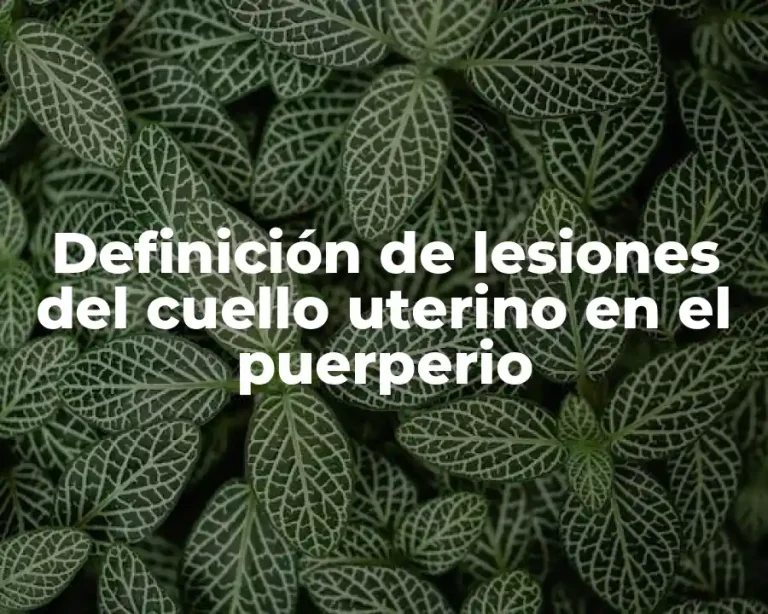 Definición de lesiones del cuello uterino en el puerperio