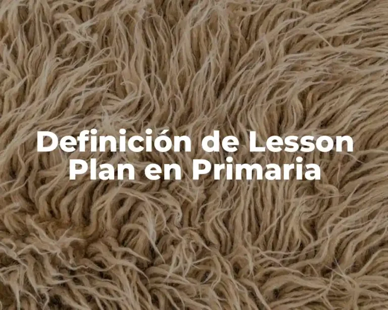 Definición de Lesson Plan en Primaria