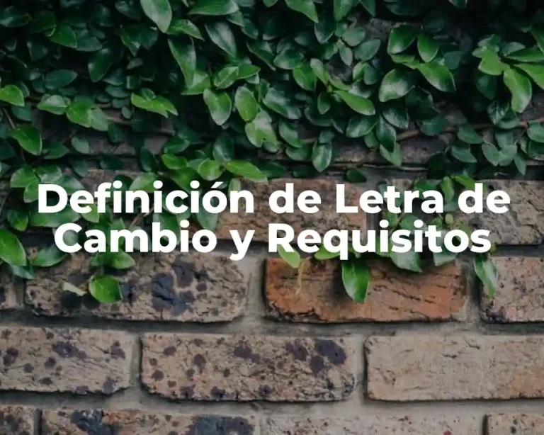 Definición de Letra de Cambio y Requisitos