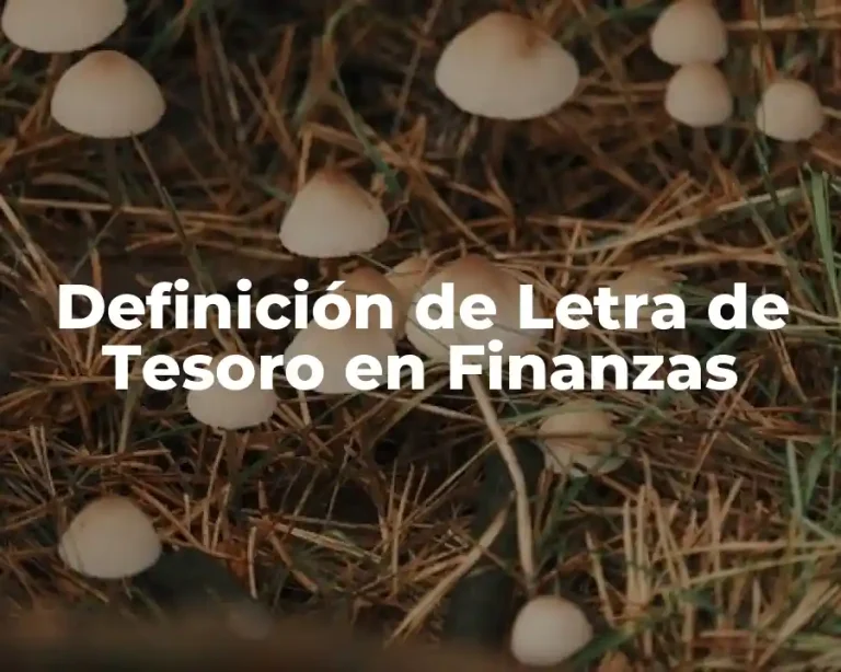Definición de Letra de Tesoro en Finanzas