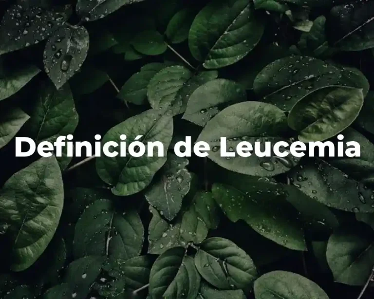 Definición de Leucemia