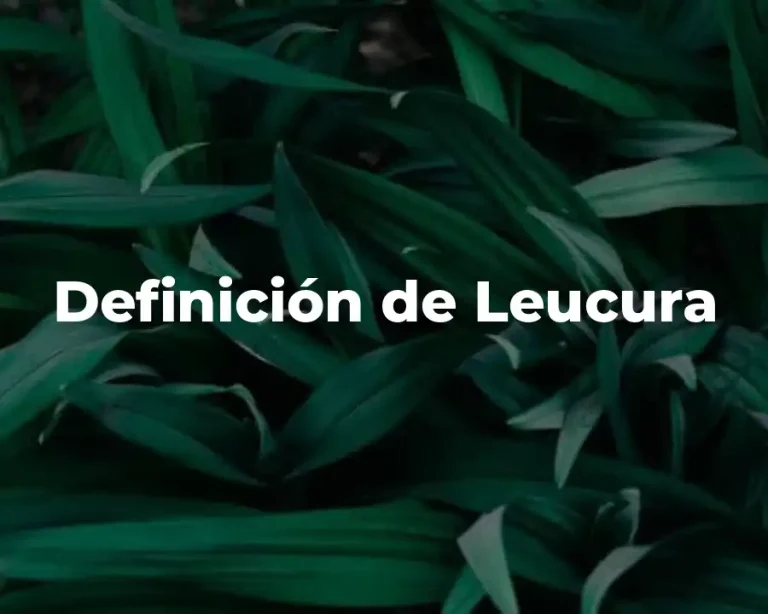 Definición de Leucura