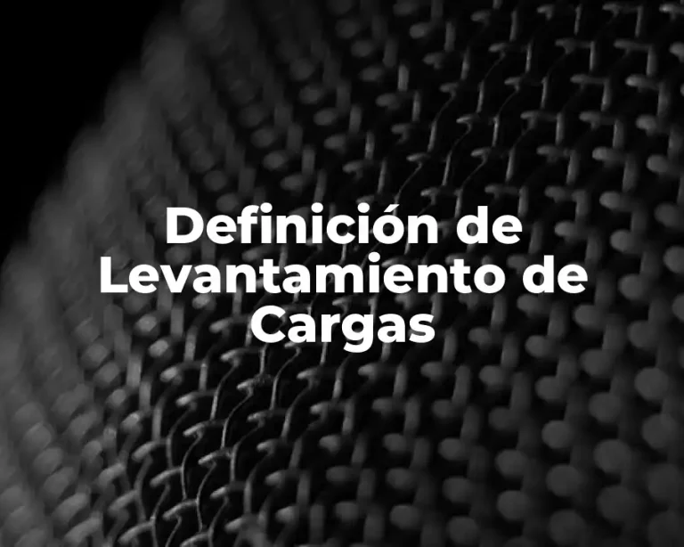 Definición de Levantamiento de Cargas