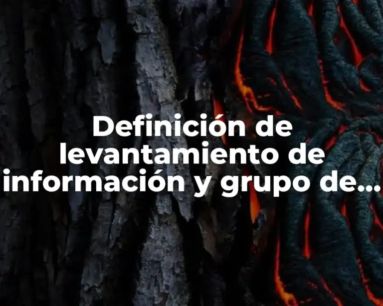 Definición de levantamiento de información y grupo de trabajo