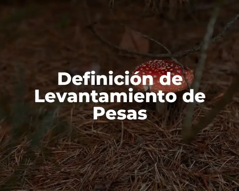 Definición de Levantamiento de Pesas