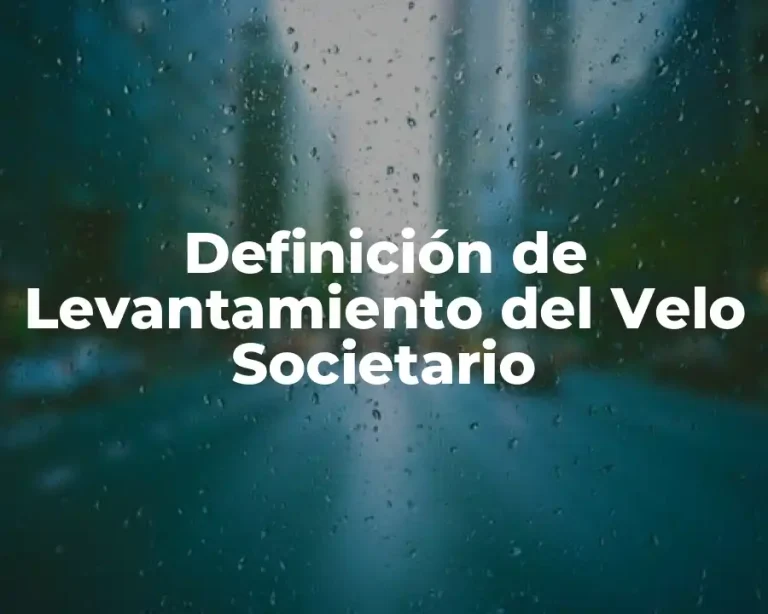 Definición de Levantamiento del Velo Societario
