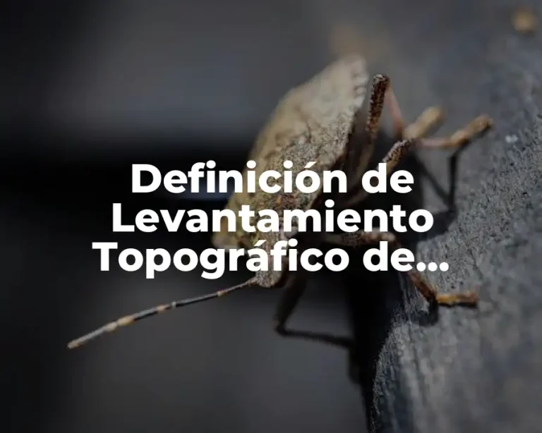 Definición de Levantamiento Topográfico de Terrenos en General