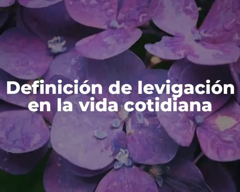 Definición de levigación en la vida cotidiana