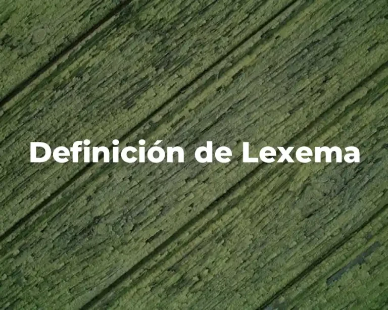 Definición de Lexema