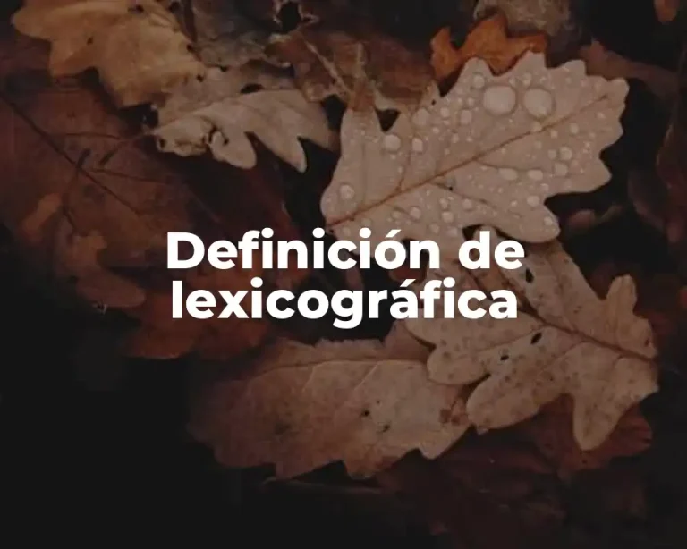 Definición de lexicográfica