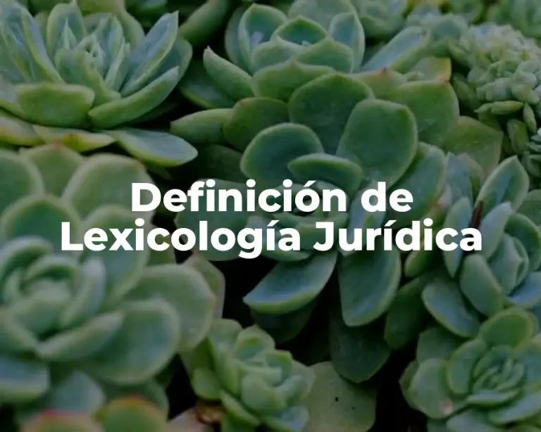 Definición de Lexicología Jurídica
