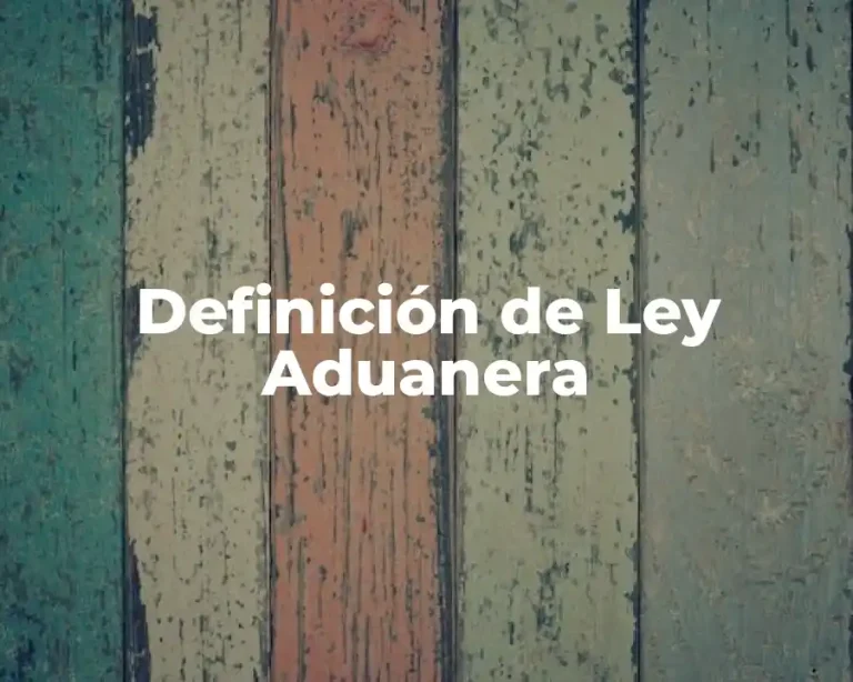 Definición de Ley Aduanera