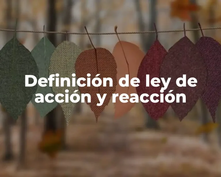 Definición de ley de acción y reacción