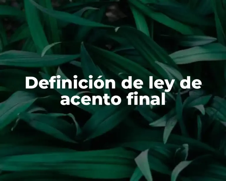 Definición de ley de acento final