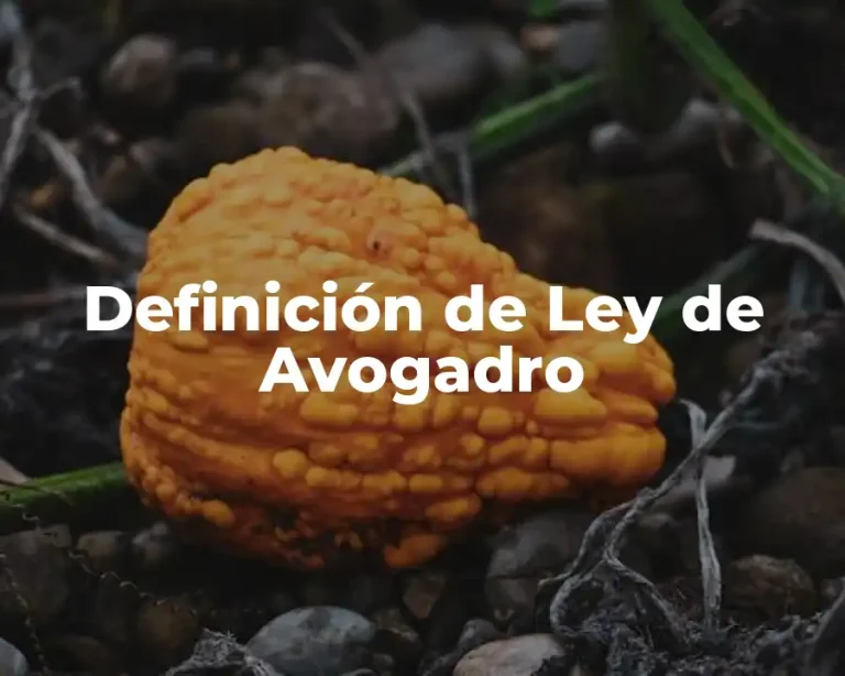 Definición de Ley de Avogadro