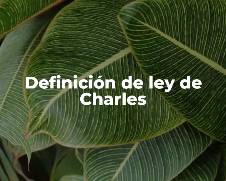 Definición de ley de Charles
