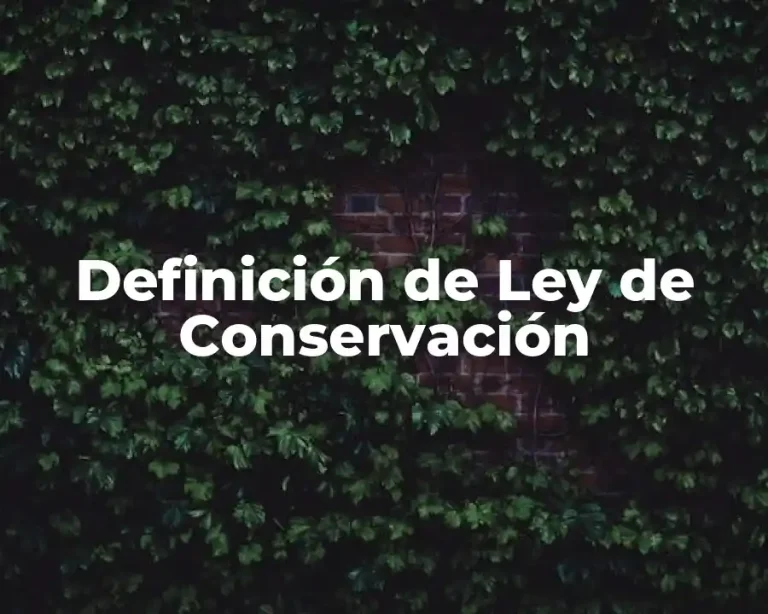 Definición de Ley de Conservación