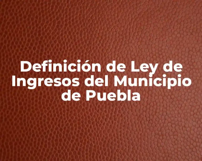 Definición de Ley de Ingresos del Municipio de Puebla