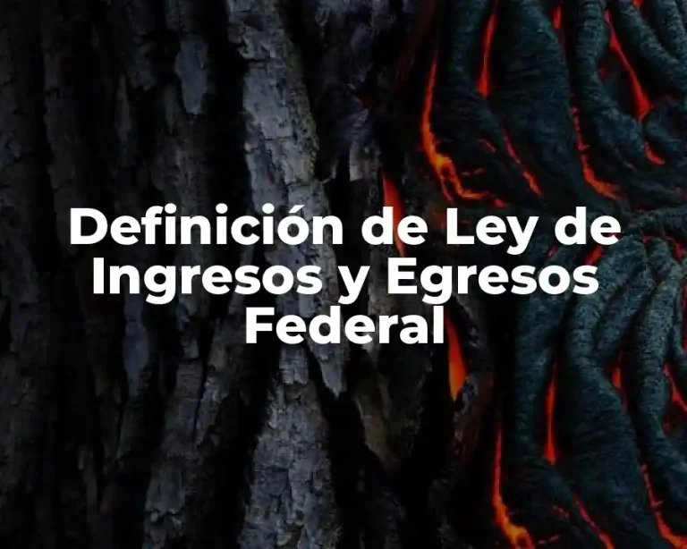 Definición de Ley de Ingresos y Egresos Federal