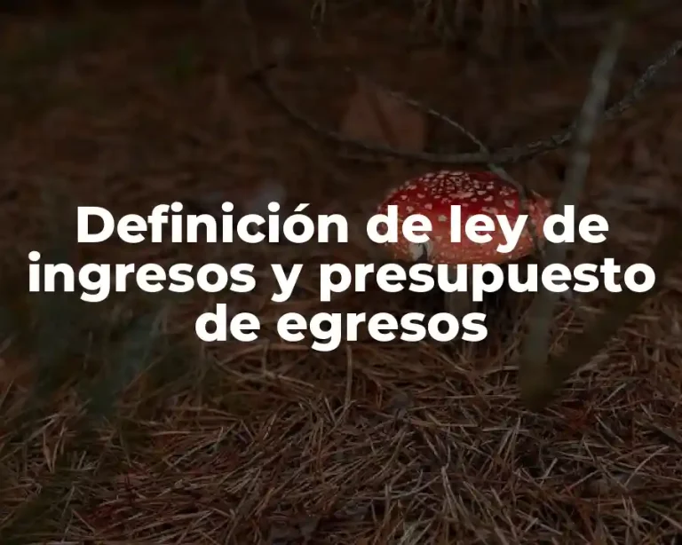 Definición de ley de ingresos y presupuesto de egresos