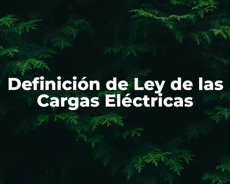 Definición de Ley de las Cargas Eléctricas