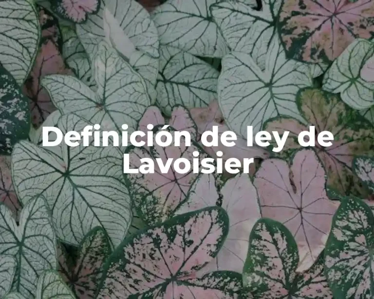 Definición de ley de Lavoisier