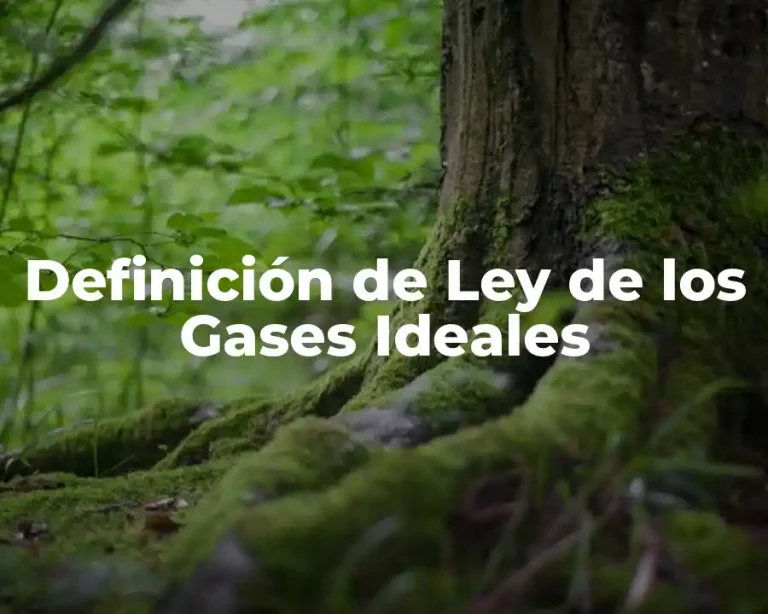 Definición de Ley de los Gases Ideales