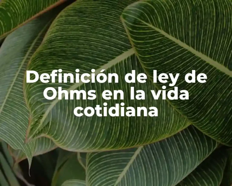 Definición de ley de Ohms en la vida cotidiana