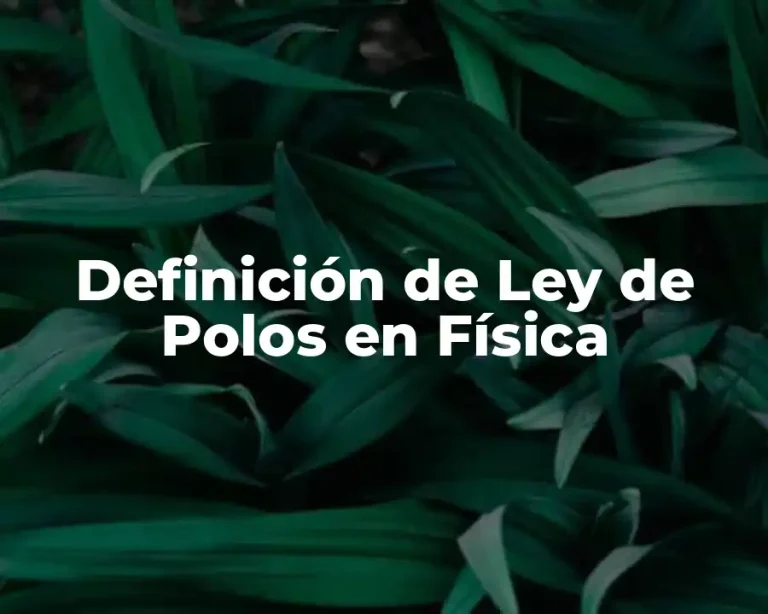 Definición de Ley de Polos en Física