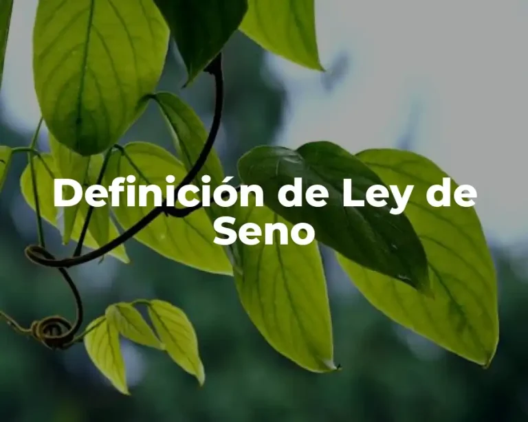Definición de Ley de Seno
