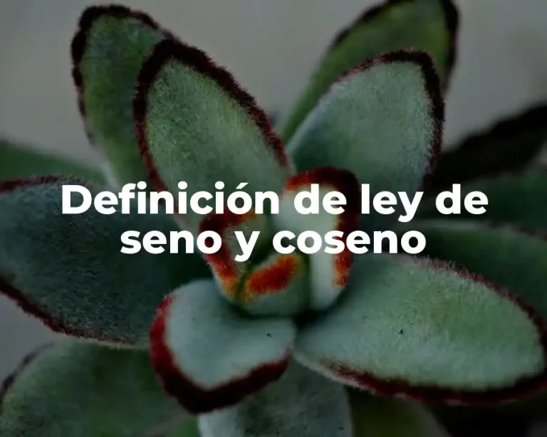 Definición de ley de seno y coseno