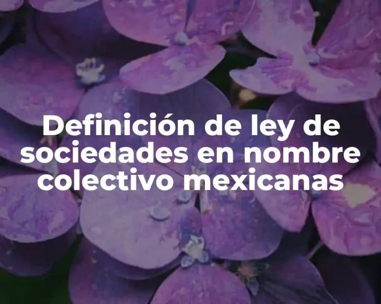 Definición de ley de sociedades en nombre colectivo mexicanas