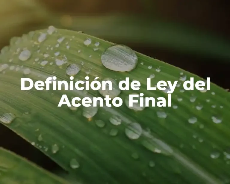 Definición de Ley del Acento Final