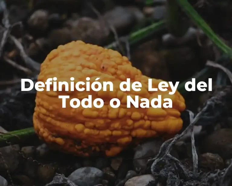 Definición de Ley del Todo o Nada