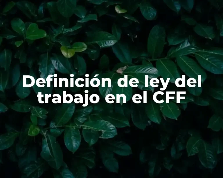 Definición de ley del trabajo en el CFF