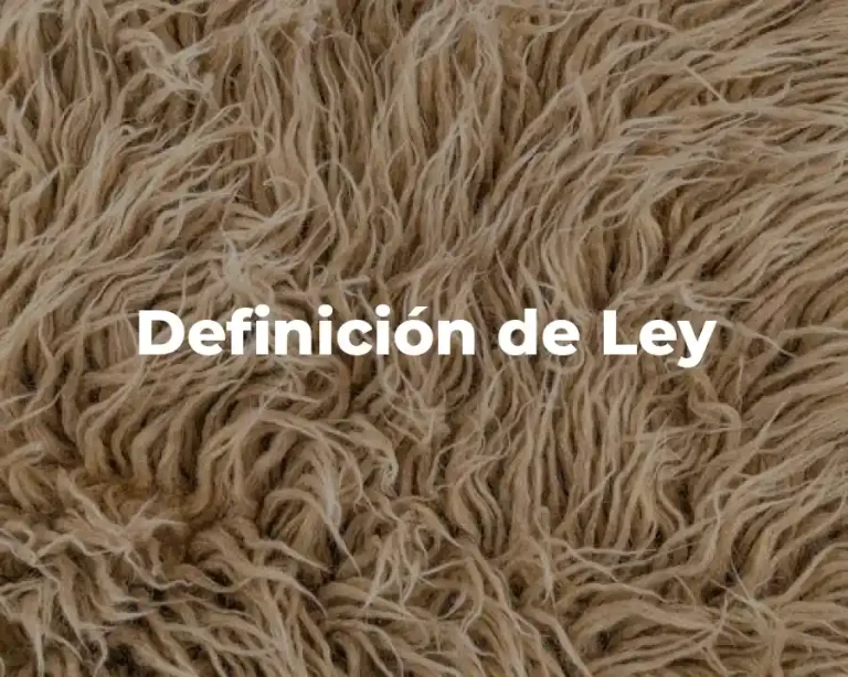 Definición de Ley