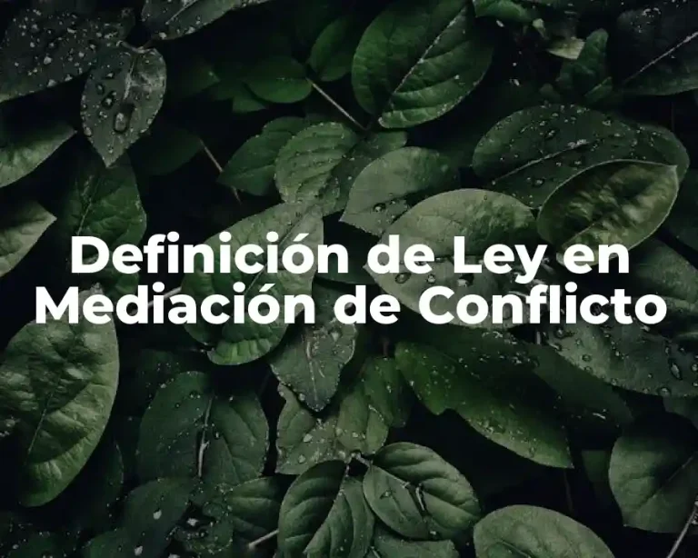 Definición de Ley en Mediación de Conflicto
