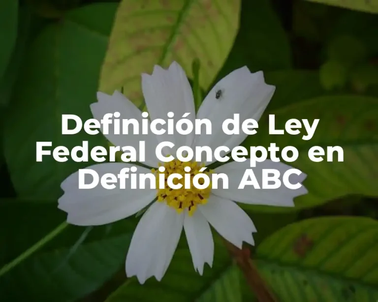 Definición de Ley Federal Concepto en Definición ABC