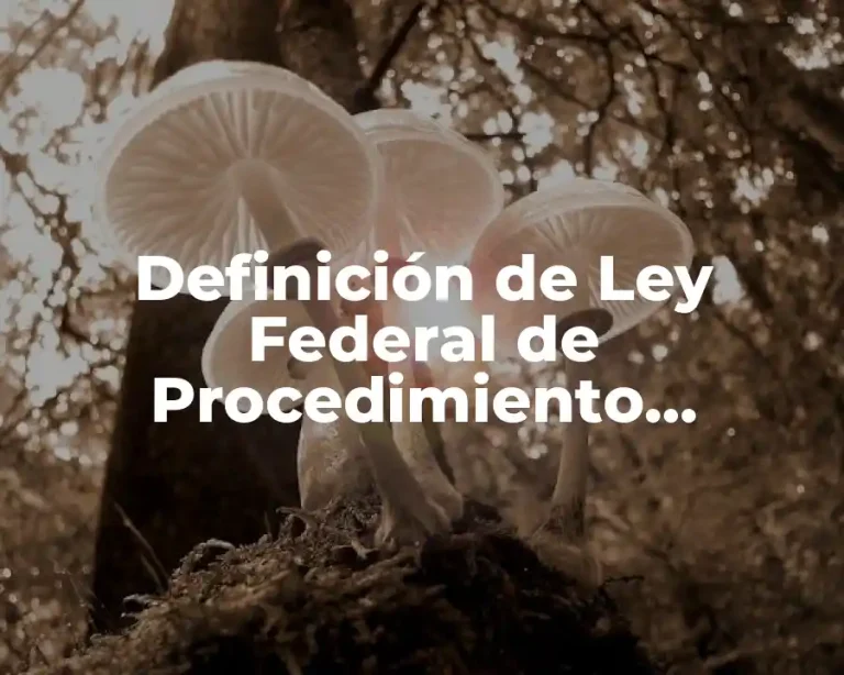 Definición de Ley Federal de Procedimiento Administrativo