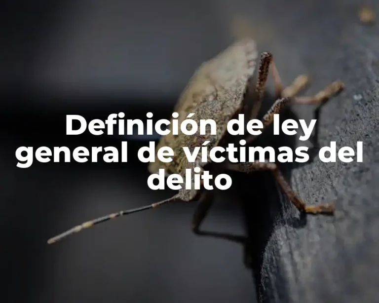 Definición de ley general de víctimas del delito