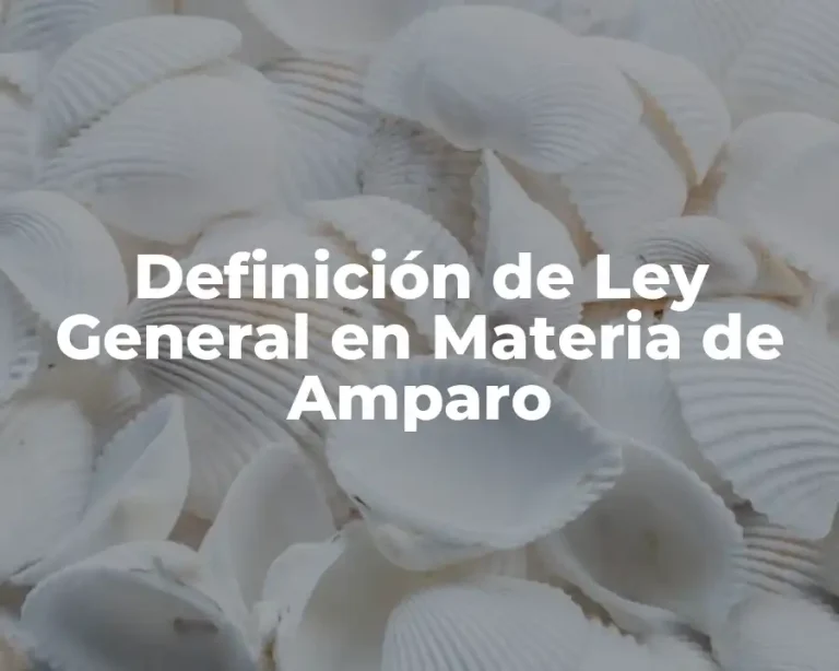 Definición de Ley General en Materia de Amparo