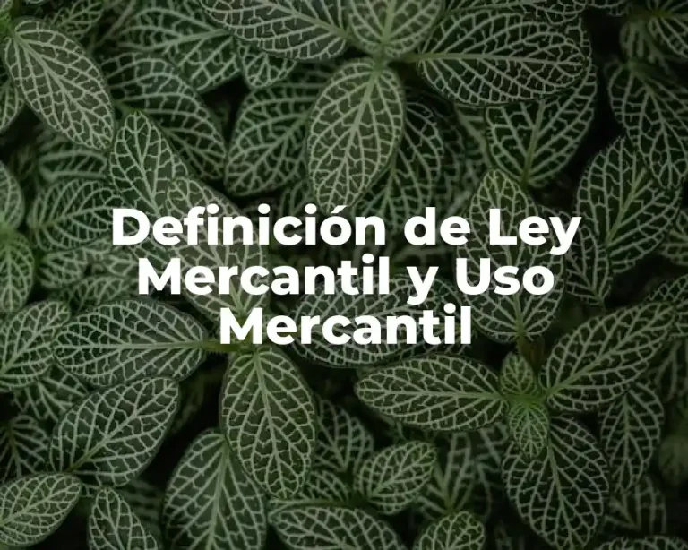 Definición de Ley Mercantil y Uso Mercantil