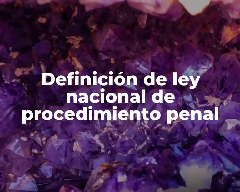 Definición de ley nacional de procedimiento penal