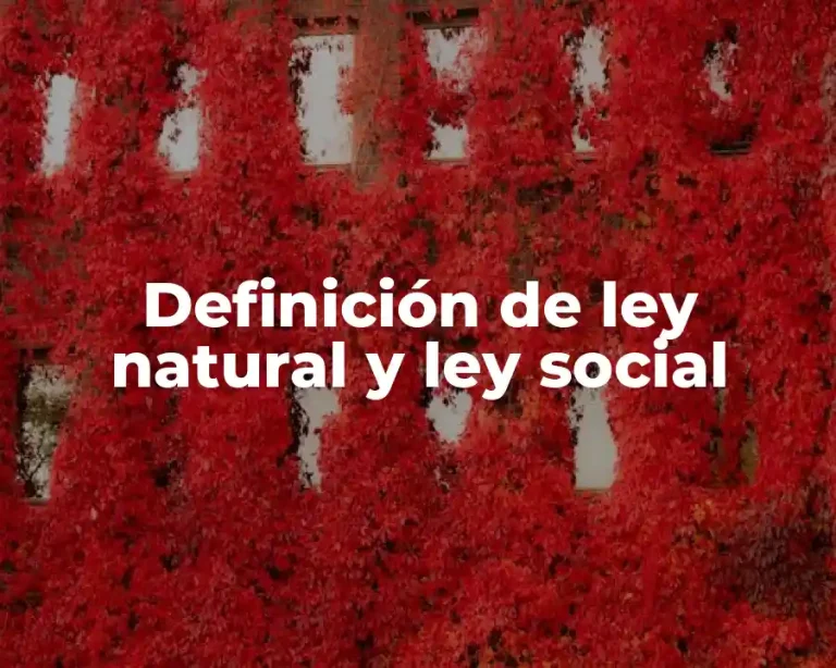 Definición de ley natural y ley social