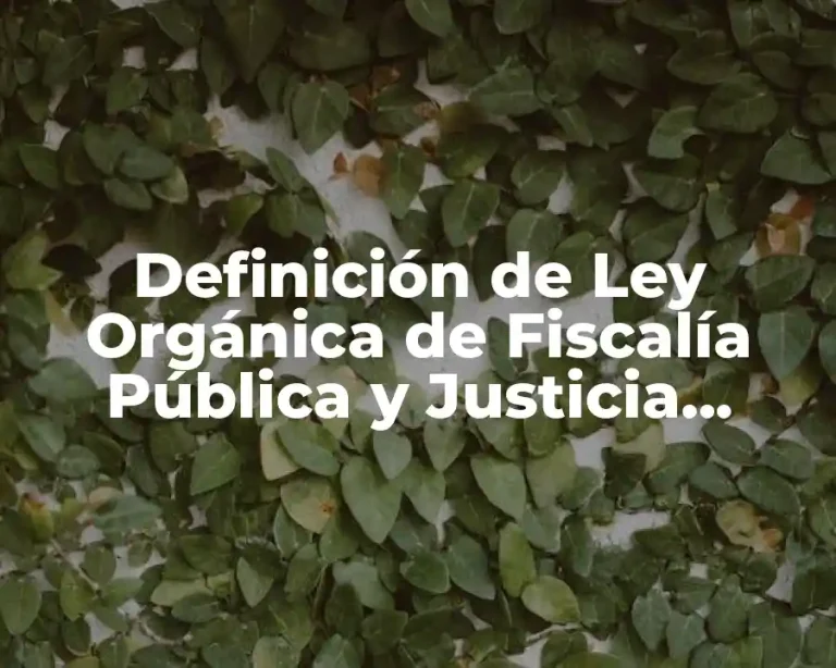 Definición de Ley Orgánica de Fiscalía Pública y Justicia Estatal
