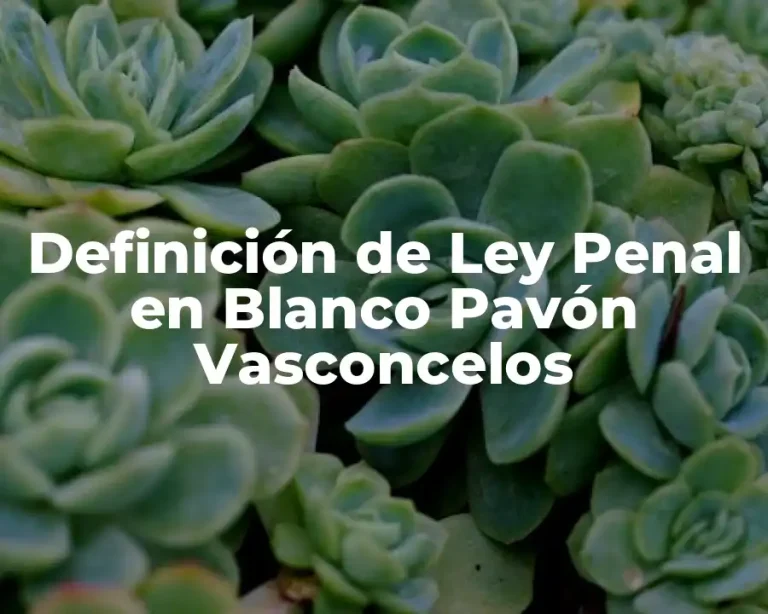 Definición de Ley Penal en Blanco Pavón Vasconcelos